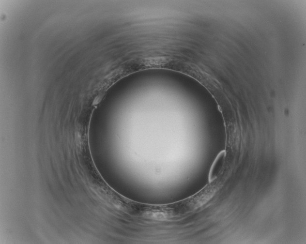 X0000069410655200605192305