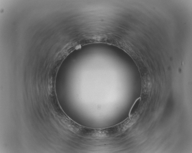 X0000069410656200605192305