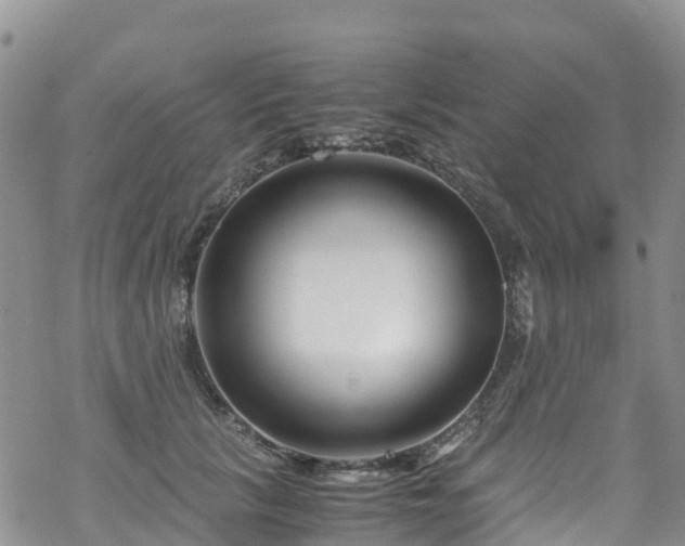 X0000069410657200605192305