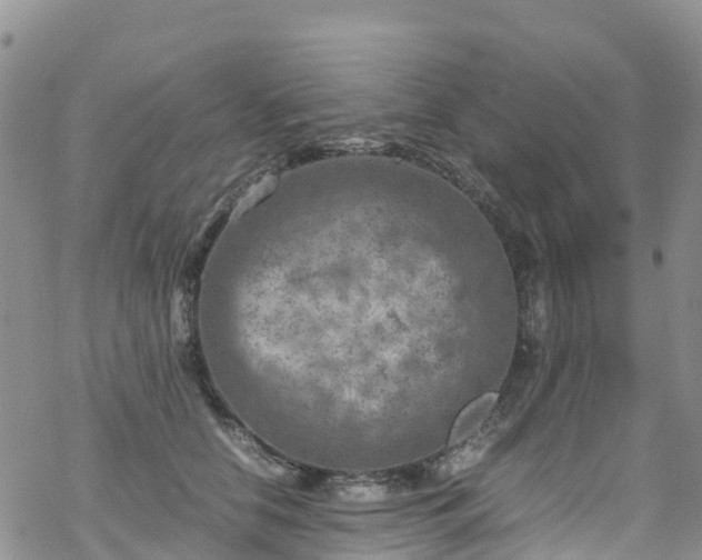 X0000069410658200605192305