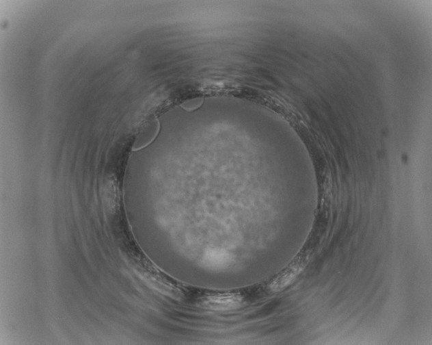 X0000069410659200605192305