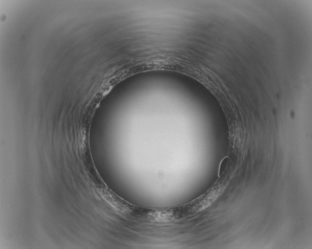 X0000069410660200605192305