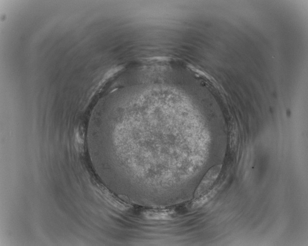 X0000069410661200605192305