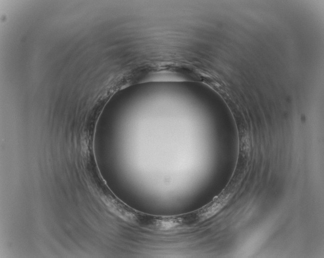 X0000069410662200605192305