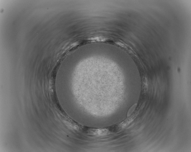 X0000069410663200605192305