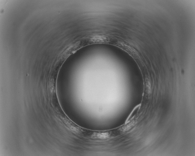 X0000069410665200605192305