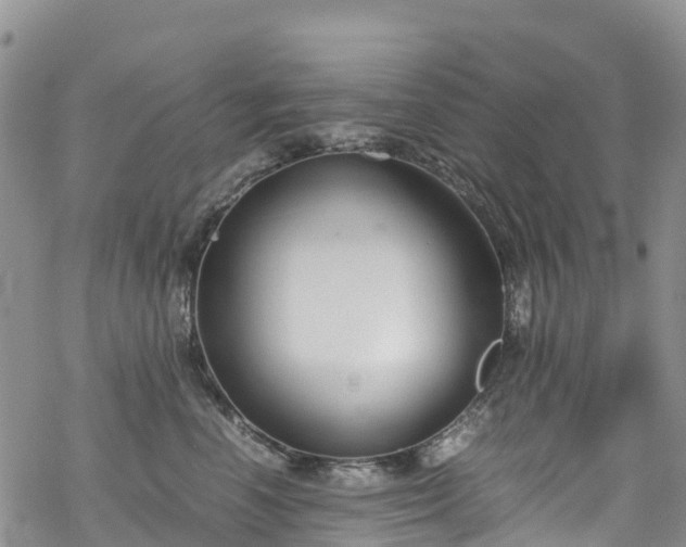 X0000069410666200605192305