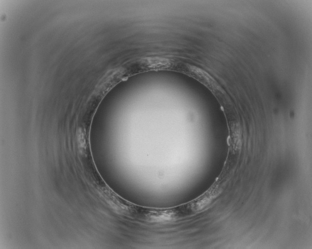 X0000069410667200605192305