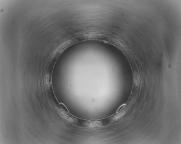 X0000069410670200605192305