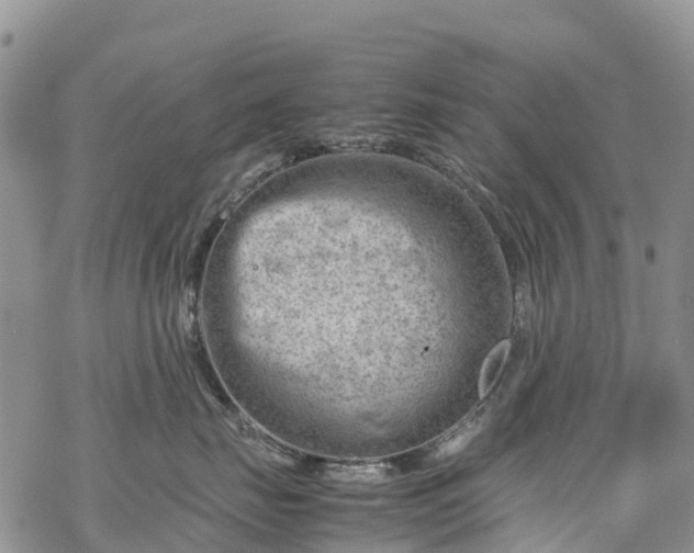 X0000069410671200605192305