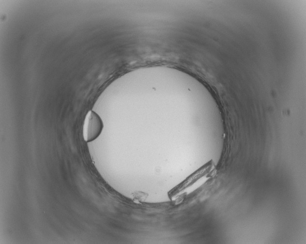 X0000069410672200605192305