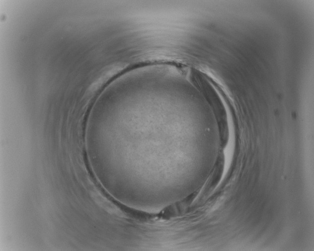 X0000069410673200605192304