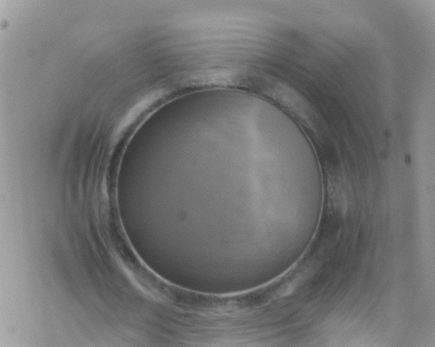 X0000069410674200605192304