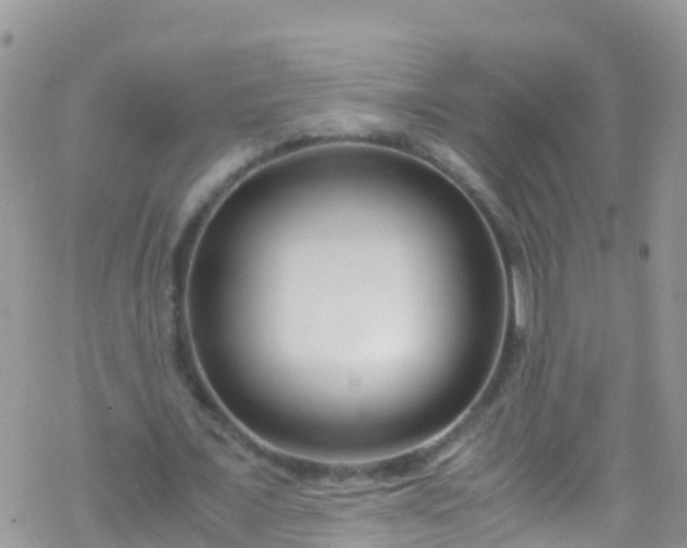 X0000069410675200605192304