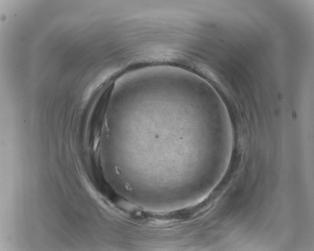 X0000069410677200605192304