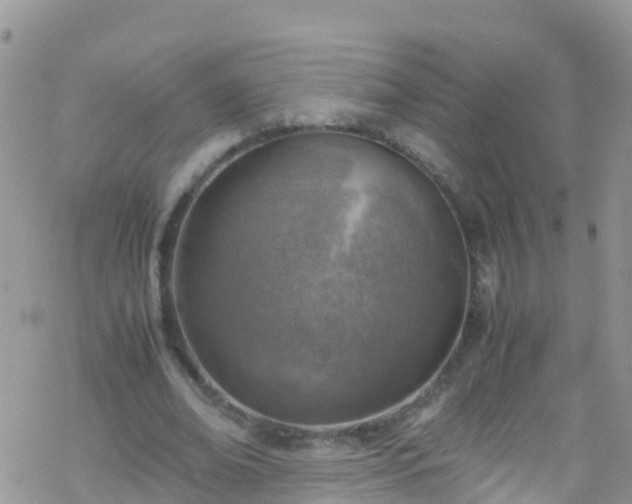 X0000069410678200605192304