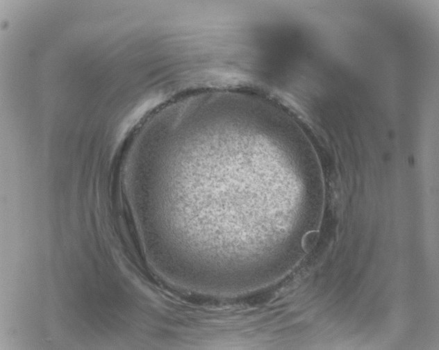 X0000069410679200605192304