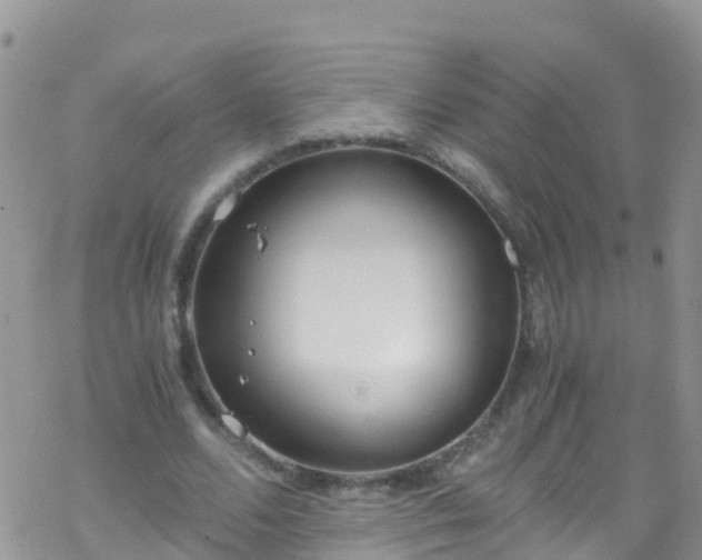 X0000069410680200605192304