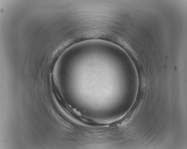 X0000069410681200605192304