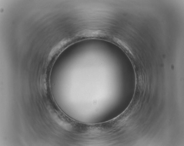 X0000069410682200605192304