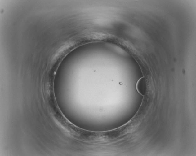 X0000069410683200605192304