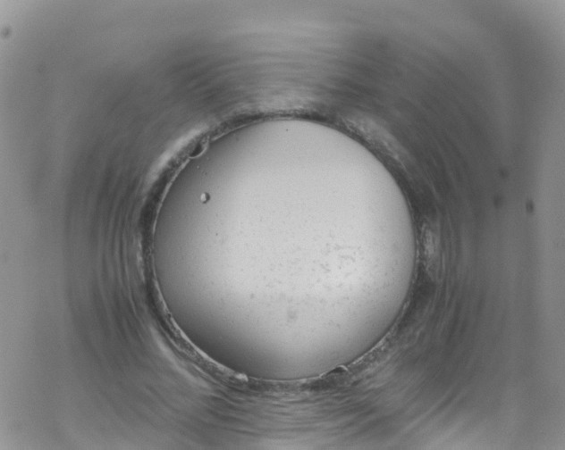 X0000069410684200605192304