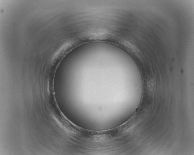 X0000069410686200605192304