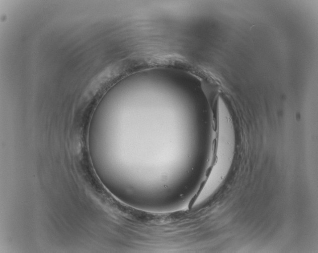 X0000069410687200605192304