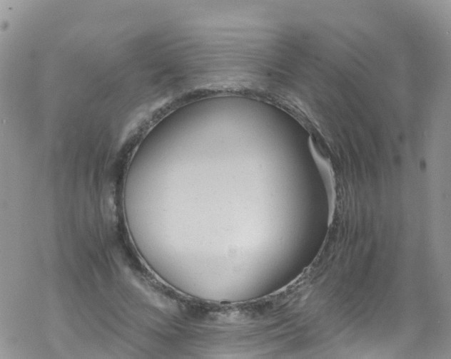 X0000069410688200605192304