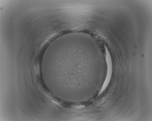 X0000069410689200605192304