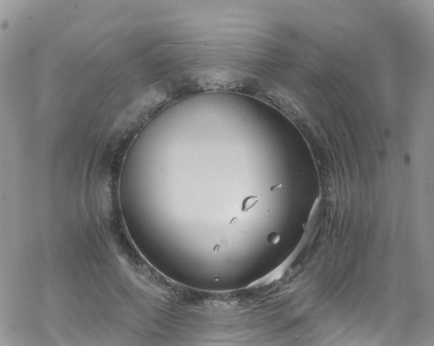 X0000069410690200605192304