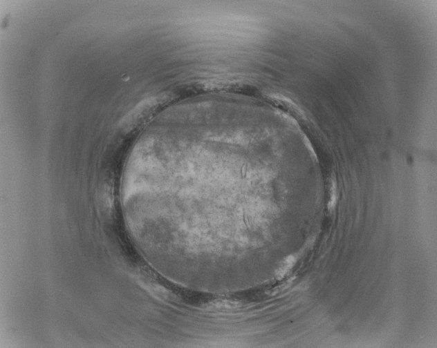 X0000069410691200605192304