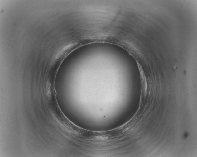 X0000069410692200605192304