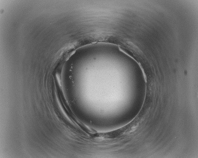 X0000069410693200605192304