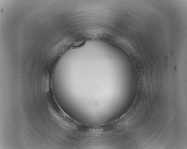 X0000069410694200605192304