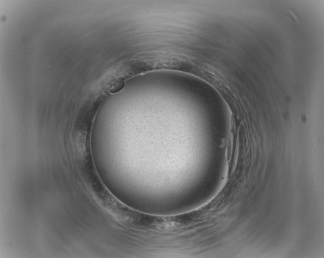 X0000069410695200605192304