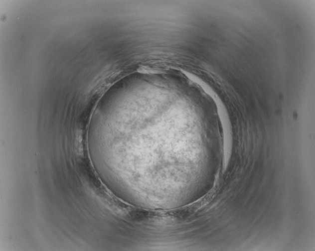 X0000069410696200605192304