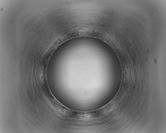 X0000069410698200605192304