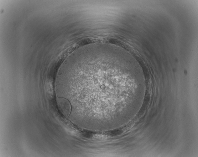 X0000069410699200605192304