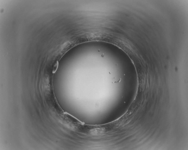 X0000069410700200605192304