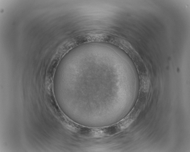 X0000069410701200605192304