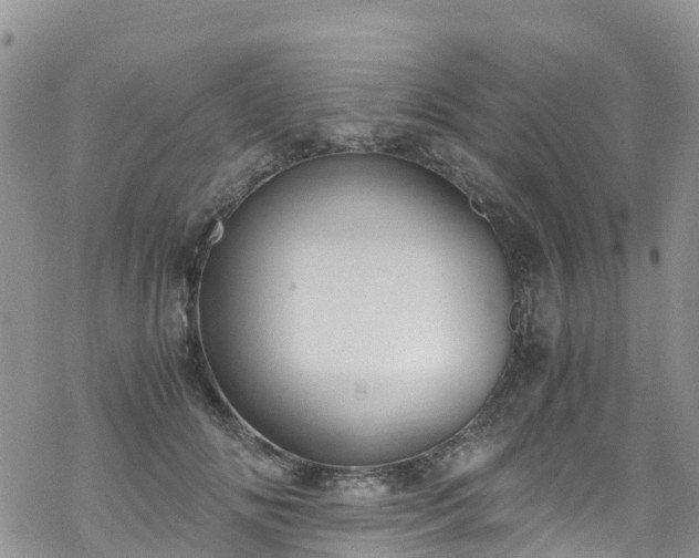 X0000069410702200605192304