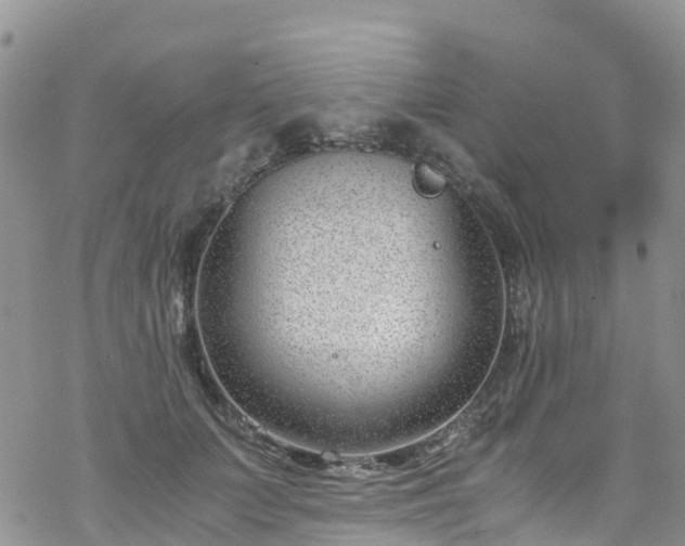 X0000069410703200605192304