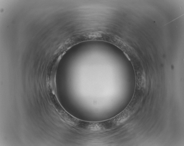 X0000069410704200605192304