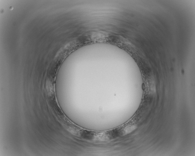 X0000069410705200605192304