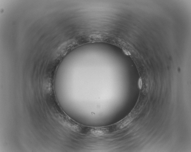 X0000069410706200605192304