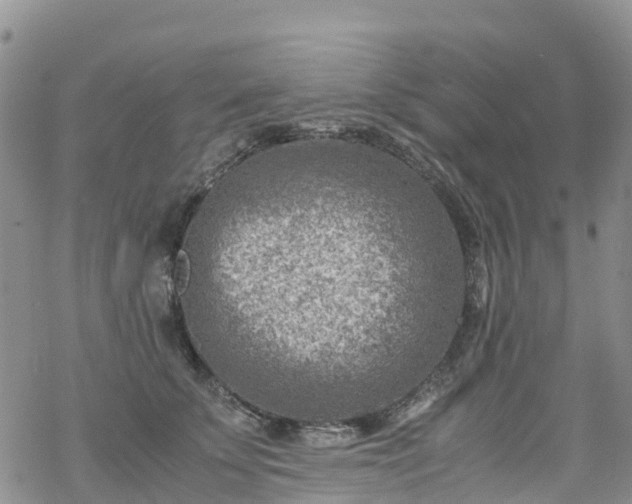 X0000069410707200605192304