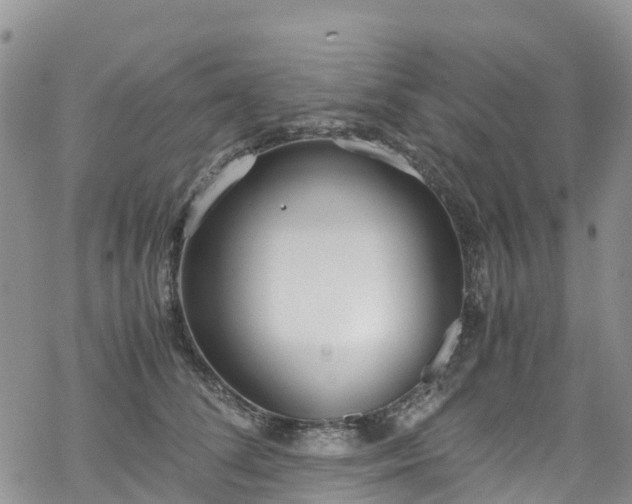 X0000069410708200605192304