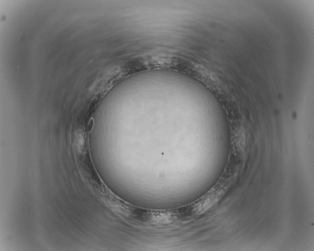 X0000069410709200605192304