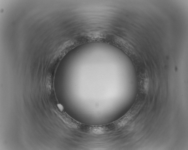 X0000069410710200605192304